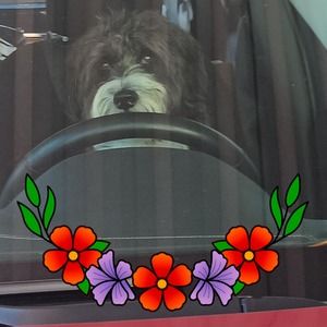 Meet your Posher, Margaret